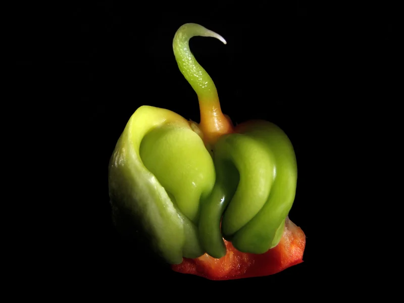Peter Pepper